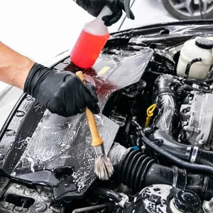 Engine Bay Cleaning
